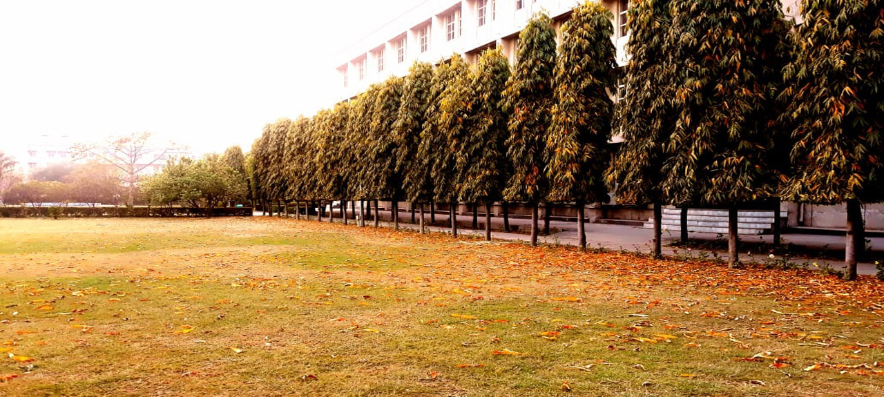 Campus Image 9